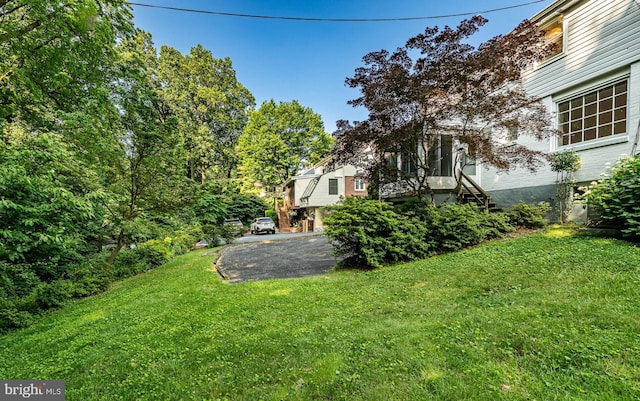 73 Duncan Ln, Springfield, PA 19064 - view of green lawn with stairs