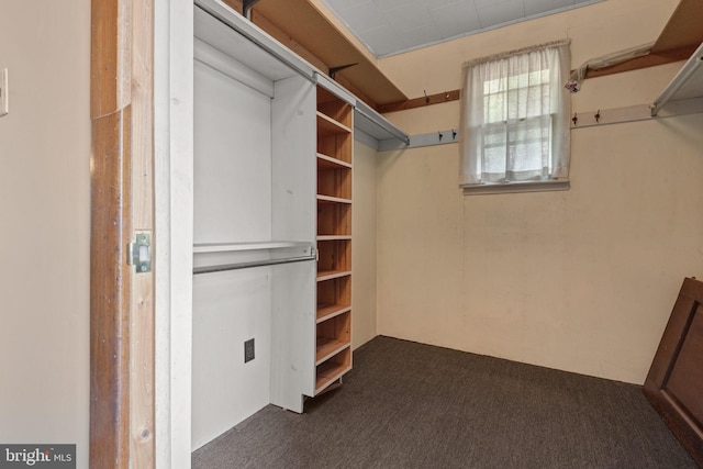 505 S Main St, Red Lion, PA 17356 - spacious closet featuring dark carpet