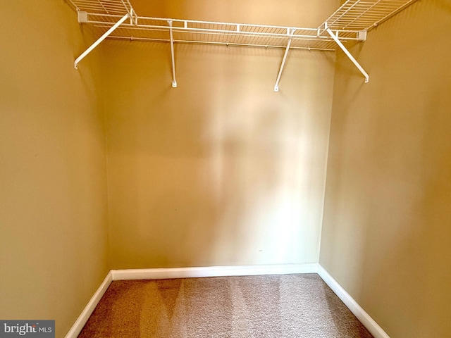 331 Lenape Way, Claymont, DE 19703 - walk in closet featuring carpet