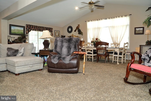 146 Skyline Dr, New Holland, PA 17557 - living room with ceiling fan, carpet flooring, and lofted ceiling