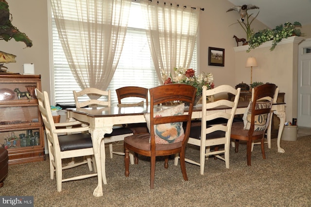 146 Skyline Dr, New Holland, PA 17557 - view of carpeted dining area