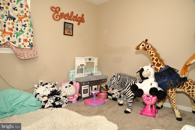 146 Skyline Dr, New Holland, PA 17557 - rec room with carpet floors