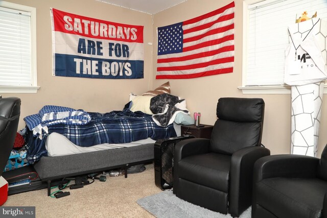 146 Skyline Dr, New Holland, PA 17557 - view of carpeted bedroom