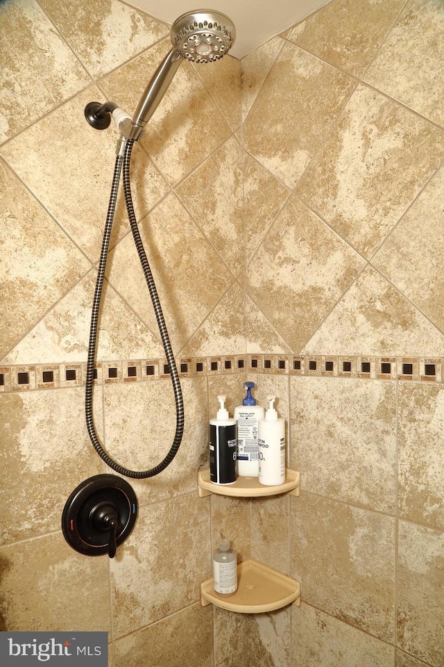 146 Skyline Dr, New Holland, PA 17557 - bathroom view of tiled shower