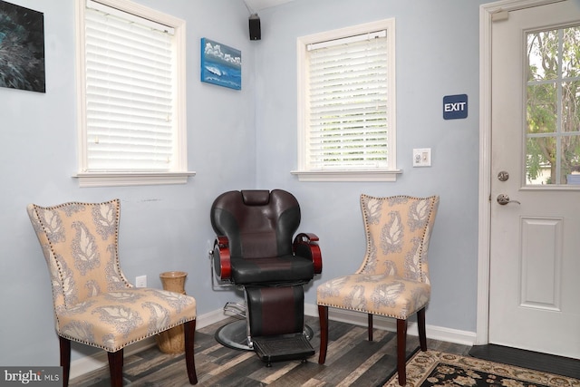 146 Skyline Dr, New Holland, PA 17557 - living area featuring wood finished floors and plenty of natural light
