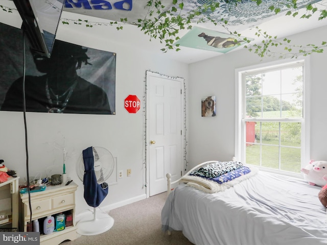 6 Thompson Ct, Boonsboro, MD 21713 - carpeted bedroom featuring baseboards