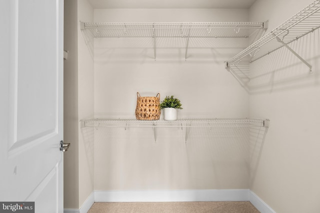 7955 Blue Stream Dr, Elkridge, MD 21075 - view of walk in closet