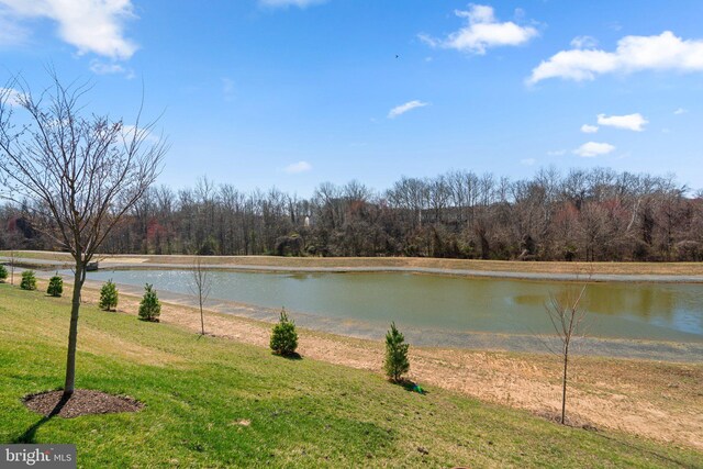 7955 Blue Stream Dr, Elkridge, MD 21075 - water view with a forest