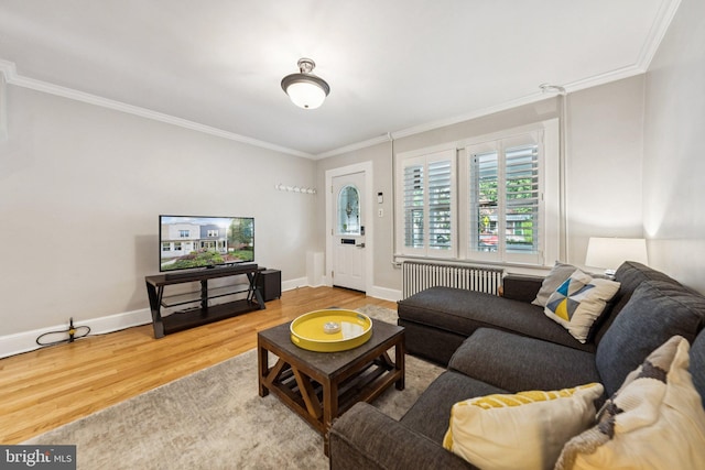 636 N Alfred St, Alexandria, VA 22314 - living room with crown molding, radiator, and wood finished floors