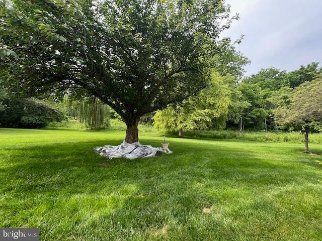 621 Springhouse Ln, Hummelstown, PA 17036 - view of green lawn