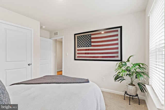 9 American Ave, Carlisle, PA 17013 - bedroom featuring carpet floors and baseboards