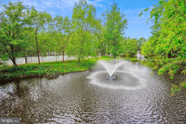 8370 Greensboro Dr Unit 1011, Mclean, VA 22102 - water view
