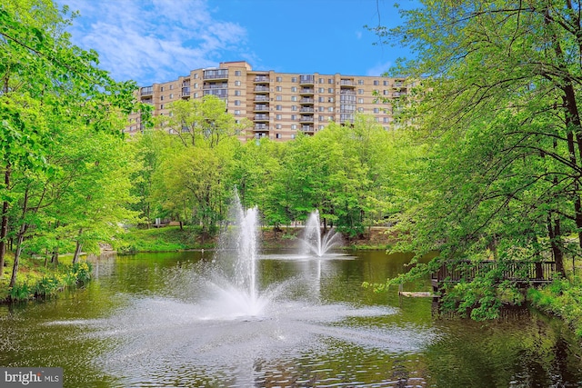 8370 Greensboro Dr Unit 1011, Mclean, VA 22102 - water view