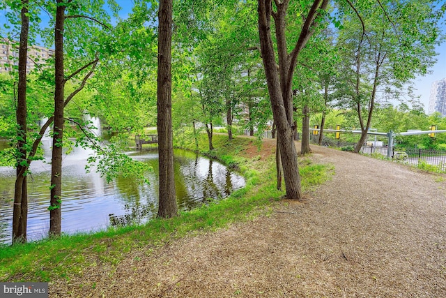 8370 Greensboro Dr Unit 1011, Mclean, VA 22102 - water view