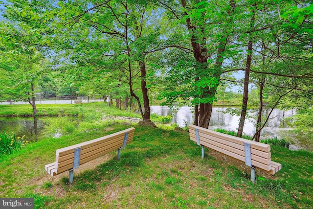 8370 Greensboro Dr Unit 1011, Mclean, VA 22102 - surrounding community with a water view