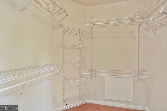 15108 Plum Tree Way, Bowie, MD 20721 - walk in closet with light colored carpet