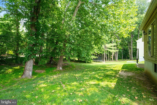 15108 Plum Tree Way, Bowie, MD 20721 - view of green lawn with a trampoline