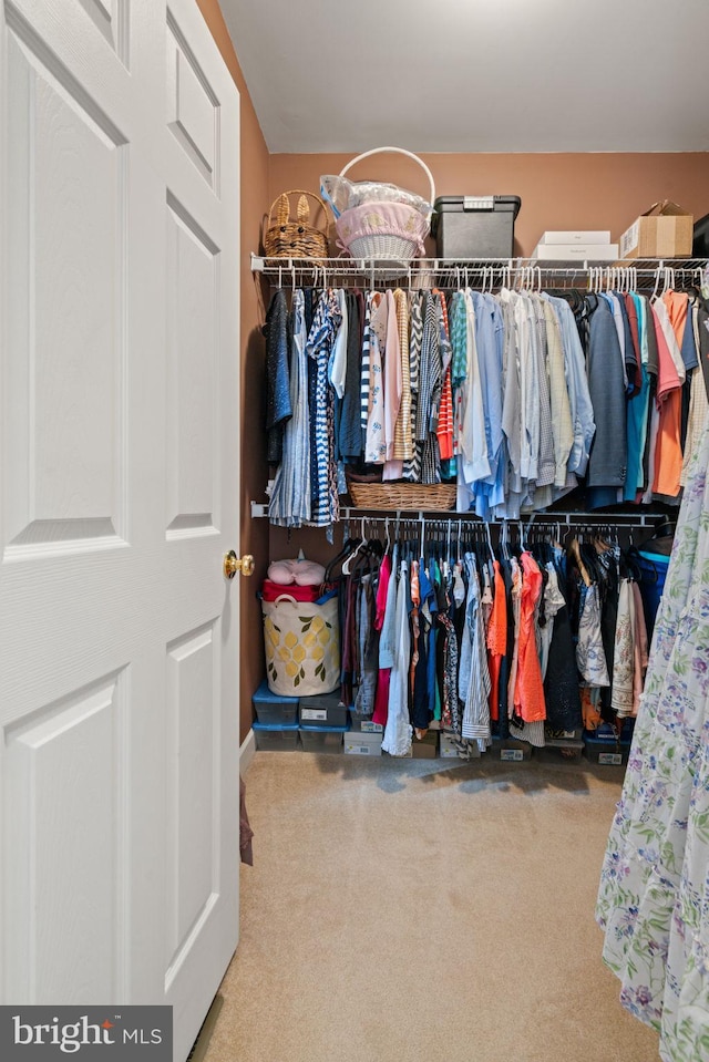 15196 Lancashire Dr, Woodbridge, VA 22191 - walk in closet with carpet floors