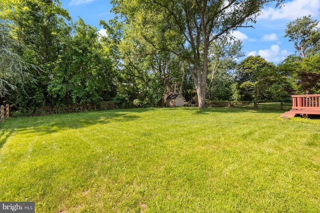 17105 Amity Dr, Derwood, MD 20855 - view of yard featuring a shed and a deck