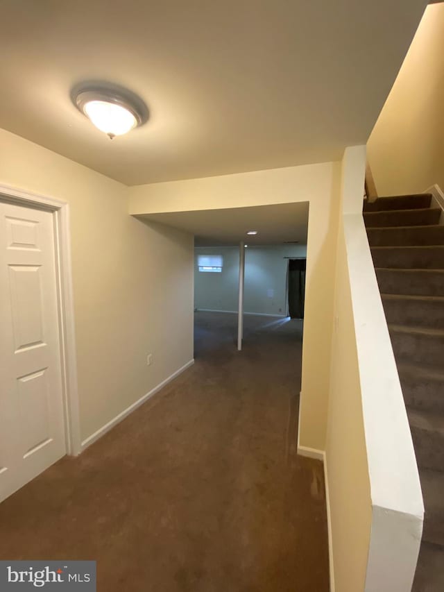 14004 Daleshire Way Unit 49, Burtonsville, MD 20866 - finished basement featuring carpet floors and stairs