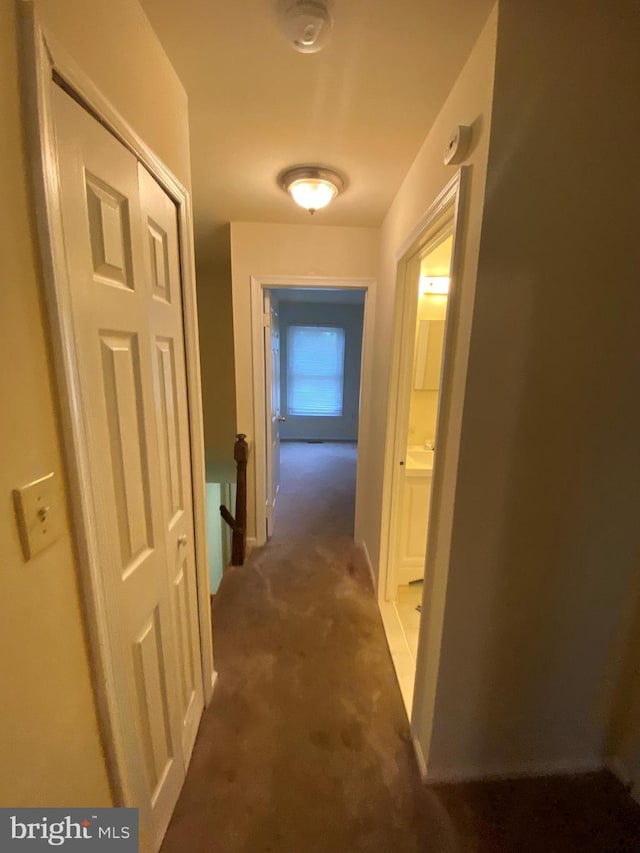 14004 Daleshire Way Unit 49, Burtonsville, MD 20866 - corridor featuring carpet flooring and an upstairs landing