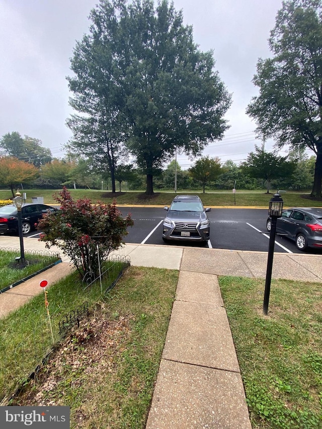 14004 Daleshire Way Unit 49, Burtonsville, MD 20866 - view of asphalt street