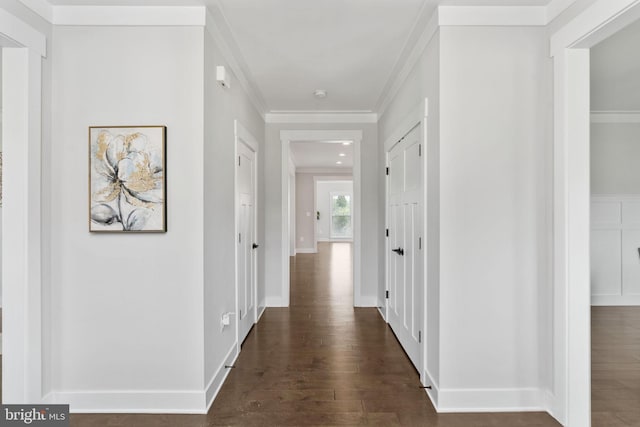 115 Saddle Ridge Ln, Fredericksburg, VA 22406 - hallway with dark wood-style floors and ornamental molding