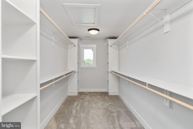 115 Saddle Ridge Ln, Fredericksburg, VA 22406 - spacious closet featuring carpet