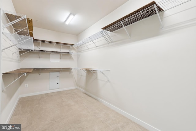 3989 Norton Pl Unit 207, Fairfax, VA 22030 - walk in closet featuring carpet floors and electric panel