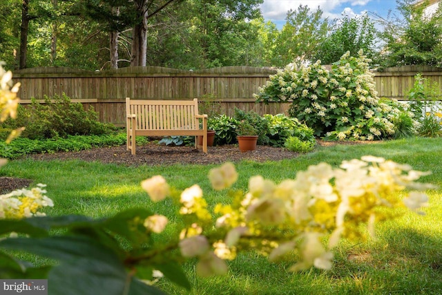 10 Frantz Ct, Fredericksburg, VA 22405 - view of yard