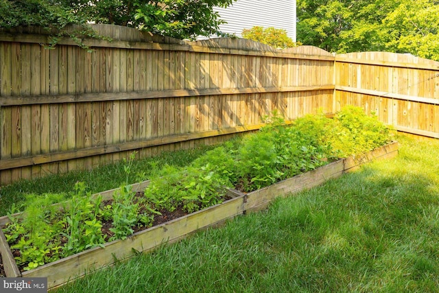 10 Frantz Ct, Fredericksburg, VA 22405 - view of yard featuring a vegetable garden