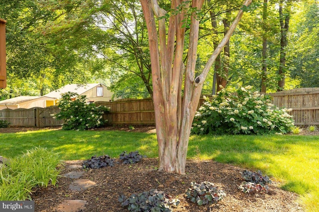 10 Frantz Ct, Fredericksburg, VA 22405 - view of fenced backyard