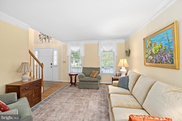 10 Frantz Ct, Fredericksburg, VA 22405 - living room with wood finished floors and crown molding