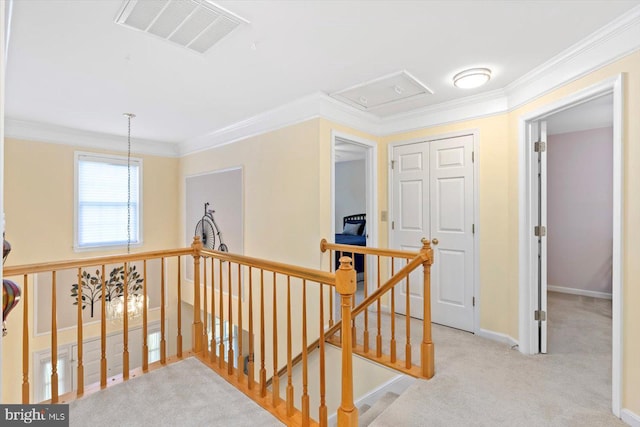 10 Frantz Ct, Fredericksburg, VA 22405 - hallway featuring an upstairs landing, carpet flooring, ornamental molding, and attic access