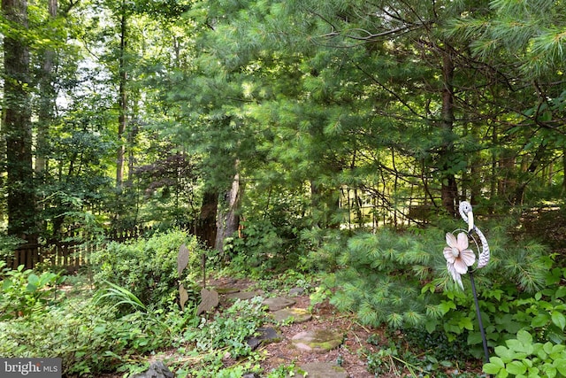 9100 Quarter Ct, Vienna, VA 22182 - view of wooded area
