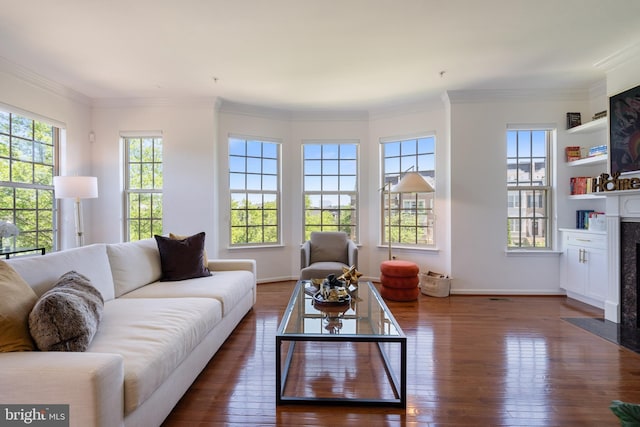 500 Overlook Park Drive 27, Oxon Hill, MD 20745 - living room with dark wood-style floors, a premium fireplace, and crown molding