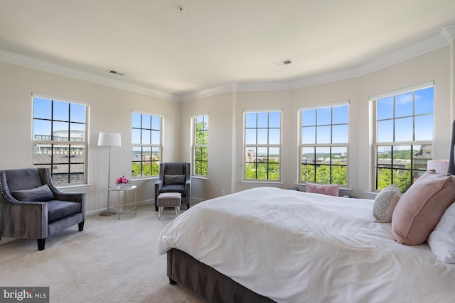 500 Overlook Park Drive 27, Oxon Hill, MD 20745 - bedroom with carpet floors and crown molding