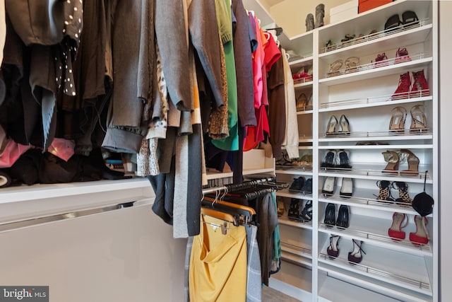 500 Overlook Park Drive 27, Oxon Hill, MD 20745 - view of walk in closet