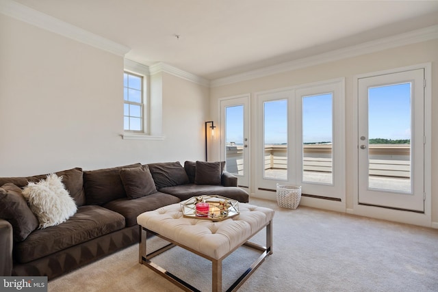 500 Overlook Park Drive 27, Oxon Hill, MD 20745 - living area with ornamental molding and light carpet