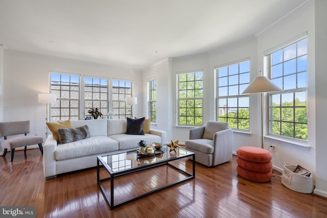 500 Overlook Park Drive 27, Oxon Hill, MD 20745 - living area with hardwood / wood-style floors and crown molding