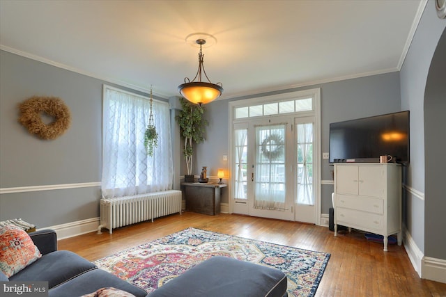 3124 Brisban St, Harrisburg, PA 17111 - living room with radiator, crown molding, plenty of natural light, and hardwood / wood-style floors