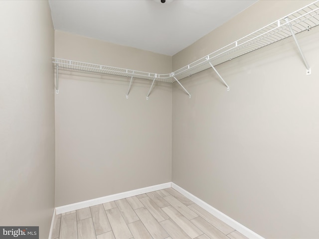 232 Crawford St, Strasburg, VA 22657 - walk in closet with wood tiled floors