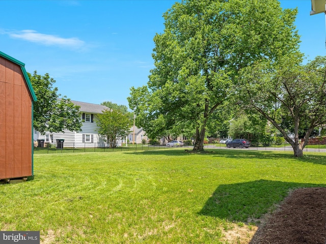 232 Crawford St, Strasburg, VA 22657 - view of yard