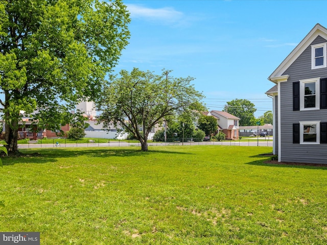 232 Crawford St, Strasburg, VA 22657 - view of yard