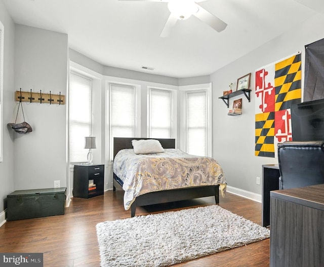 110 S Washington St, Havre De Grace, MD 21078 - bedroom with multiple windows, wood finished floors, and a ceiling fan