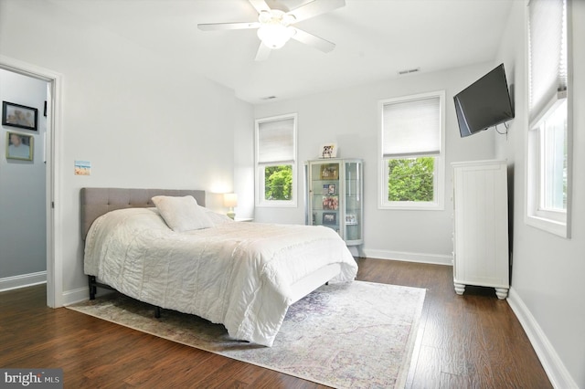 110 S Washington St, Havre De Grace, MD 21078 - bedroom featuring multiple windows, dark wood finished floors, and ceiling fan