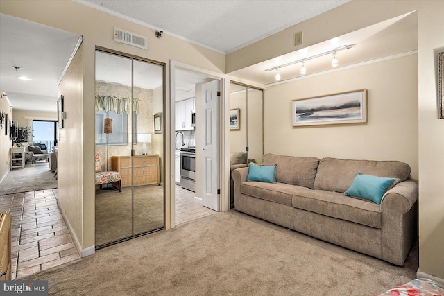 9800 Coastal Hwy Unit 1207, Ocean City, MD 21842 - living area with carpet, rail lighting, and ornamental molding