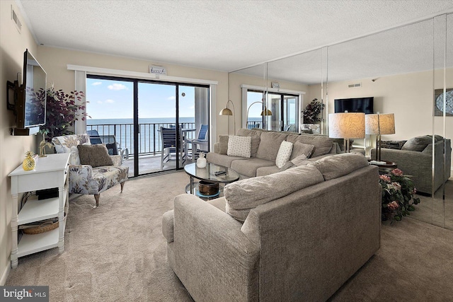 9800 Coastal Hwy Unit 1207, Ocean City, MD 21842 - living area featuring light carpet and a textured ceiling