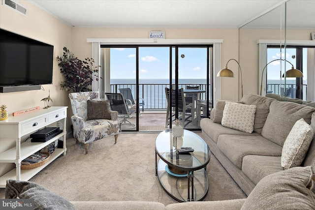 9800 Coastal Hwy Unit 1207, Ocean City, MD 21842 - carpeted living room featuring plenty of natural light, a water view, and ornamental molding