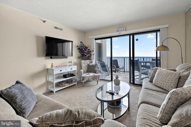 9800 Coastal Hwy Unit 1207, Ocean City, MD 21842 - living room with carpet and a textured ceiling